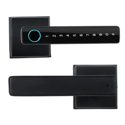 HomeKT B07 Biometric Smart Door Lock (Tuya App & Semiconductor Fingerprint)